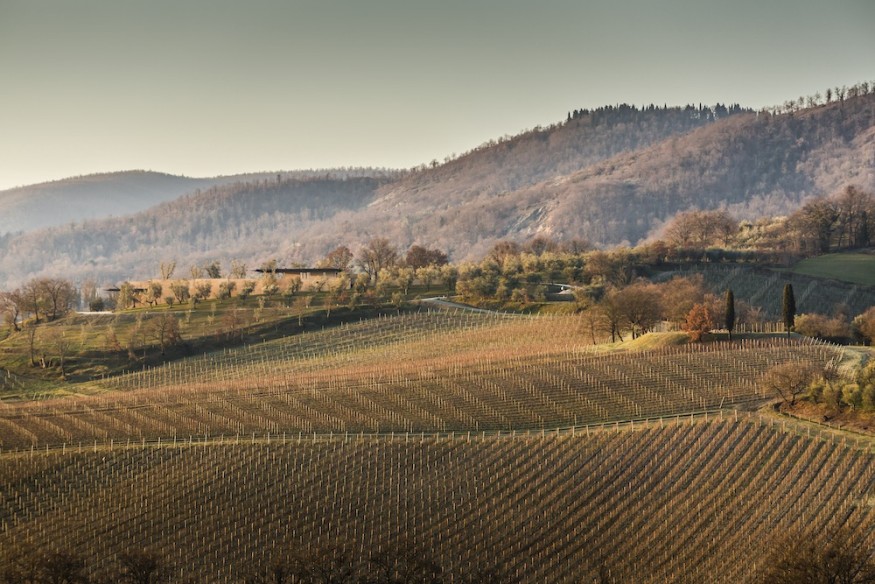 Bulgari Winery landscape Alvisi Kirimoto + Partners isplora magazine